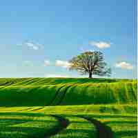 seo策‍略‌分‍析﻿